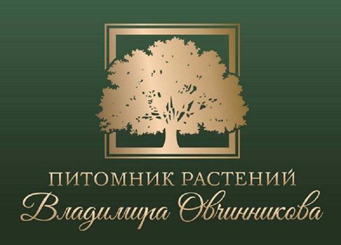 Истории успеха: Питомник растений Владимира Овчинникова в программе «Это всё моё, родное»